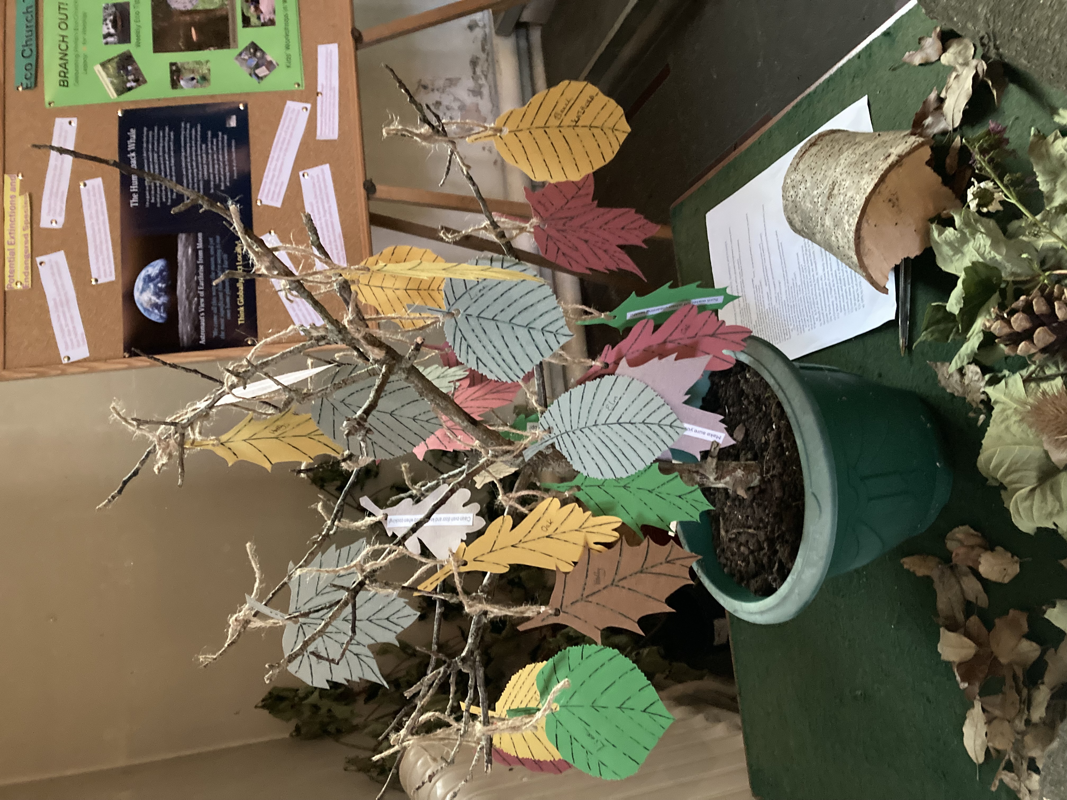 St Stephen's eco team Branch Out